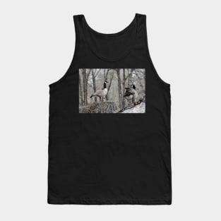 Canada Geese nesting Tank Top